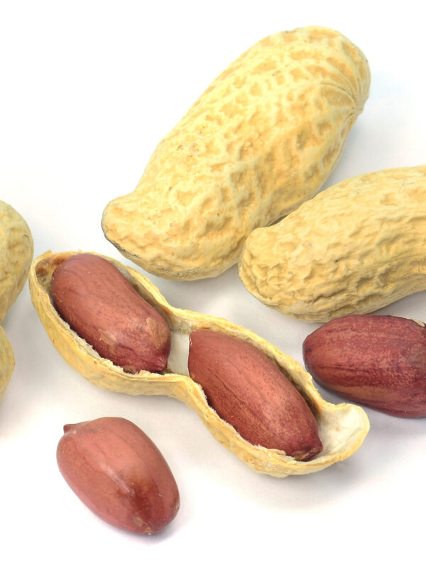 Peanuts
